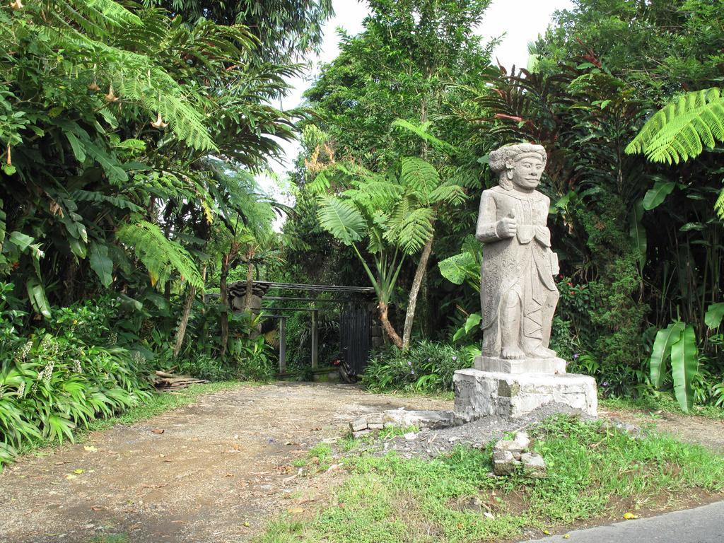 Villa Wastra Payangan Exterior photo